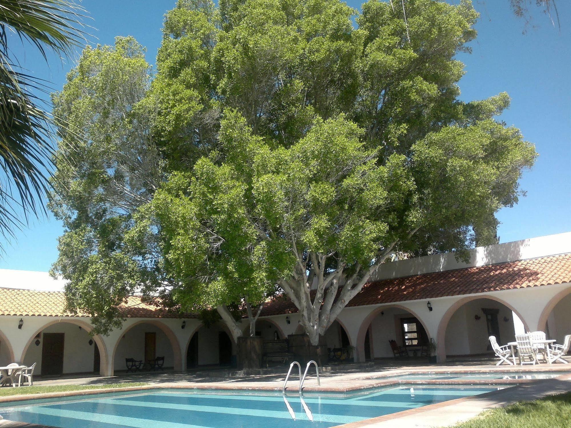 Hotel Mision Catavina Dış mekan fotoğraf